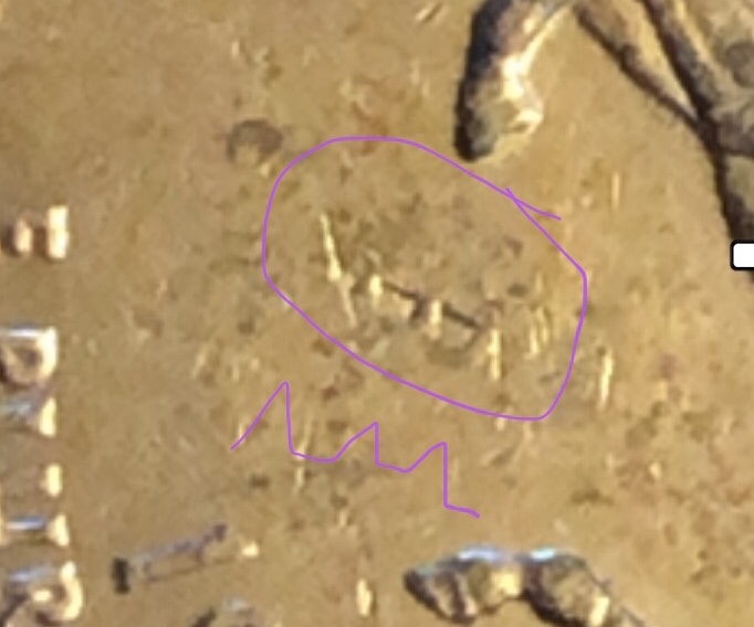 1999,-2013-,-2016.-Mechanical-Markings?